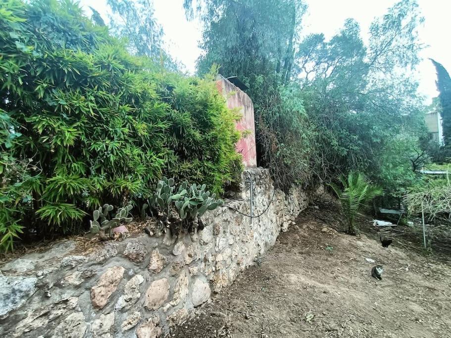 Casa Rural En El Campo Con Animales, Piscina Y Barbacoa Almodóvar del Río Extérieur photo