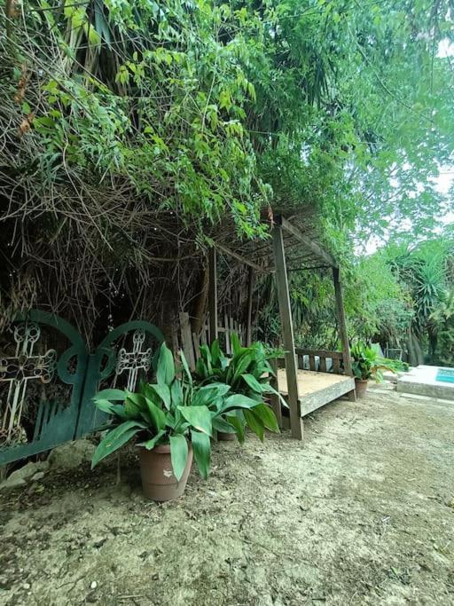 Casa Rural En El Campo Con Animales, Piscina Y Barbacoa Almodóvar del Río Extérieur photo