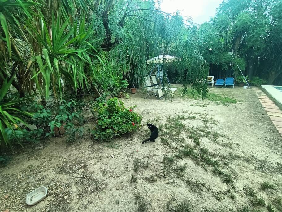 Casa Rural En El Campo Con Animales, Piscina Y Barbacoa Almodóvar del Río Extérieur photo