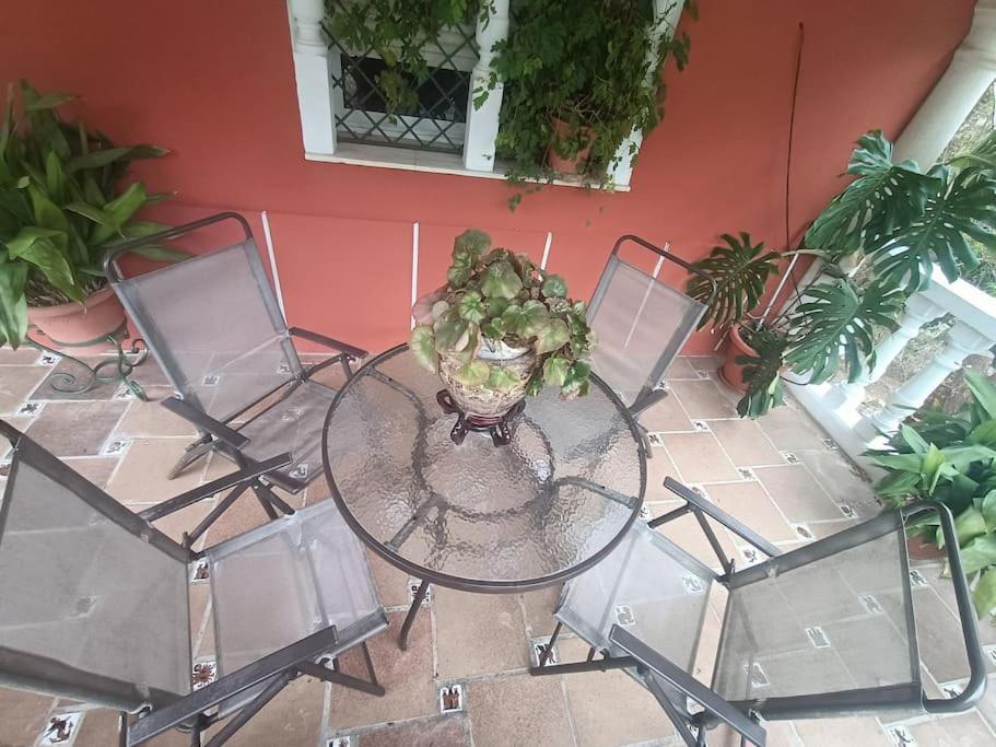 Casa Rural En El Campo Con Animales, Piscina Y Barbacoa Almodóvar del Río Extérieur photo