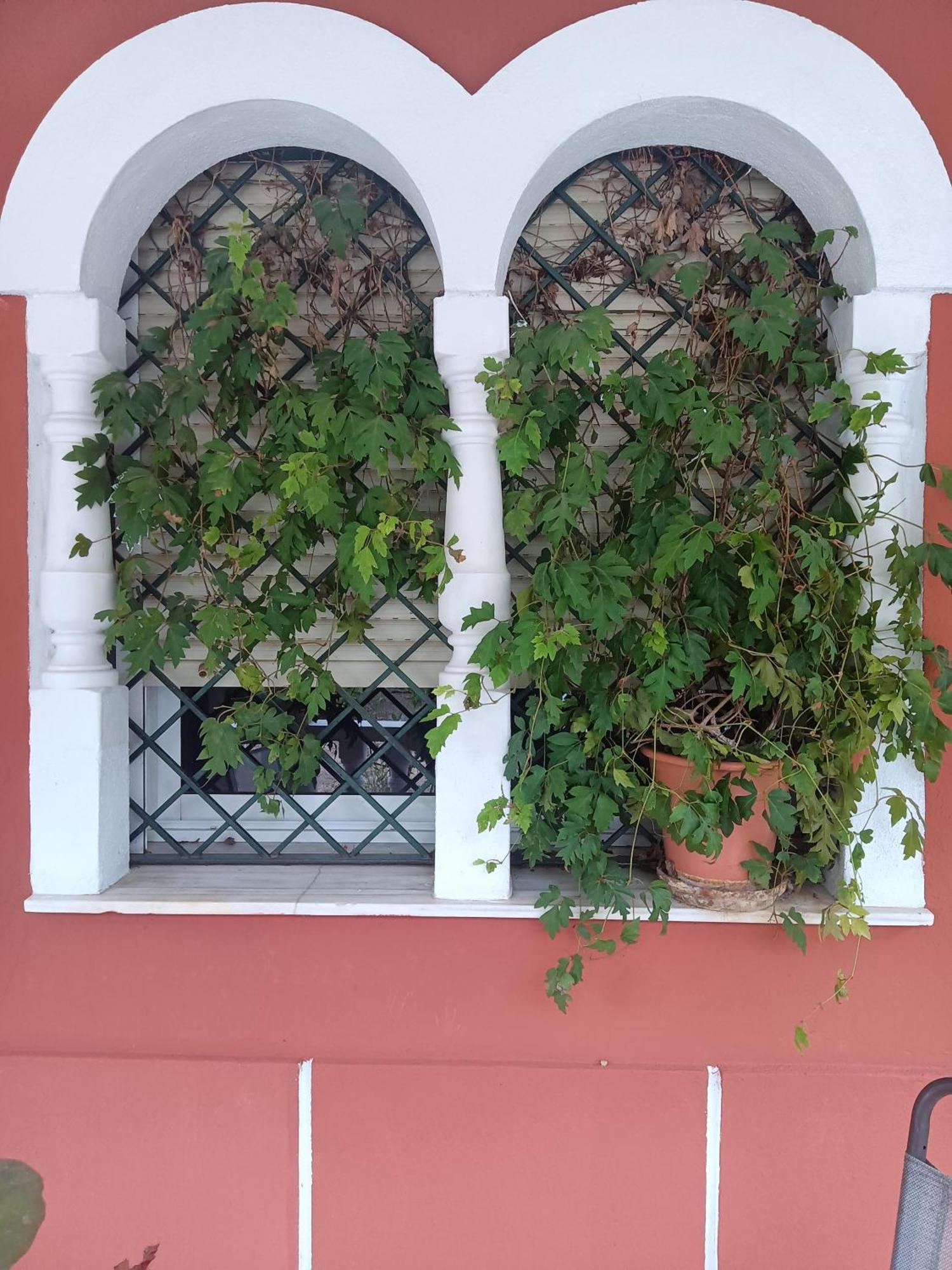 Casa Rural En El Campo Con Animales, Piscina Y Barbacoa Almodóvar del Río Extérieur photo