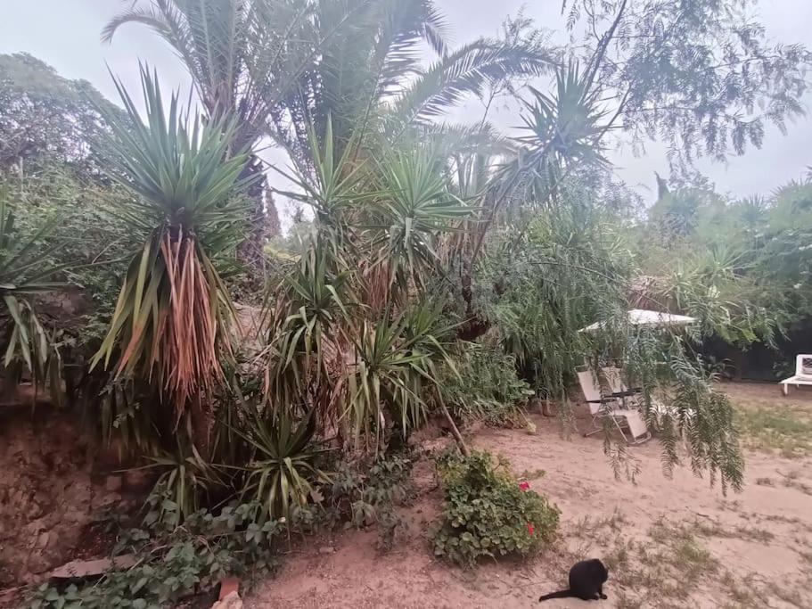 Casa Rural En El Campo Con Animales, Piscina Y Barbacoa Almodóvar del Río Extérieur photo