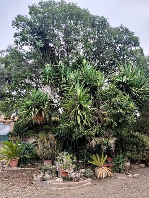 Casa Rural En El Campo Con Animales, Piscina Y Barbacoa Almodóvar del Río Extérieur photo