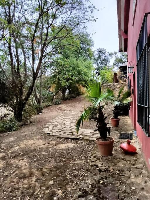Casa Rural En El Campo Con Animales, Piscina Y Barbacoa Almodóvar del Río Extérieur photo